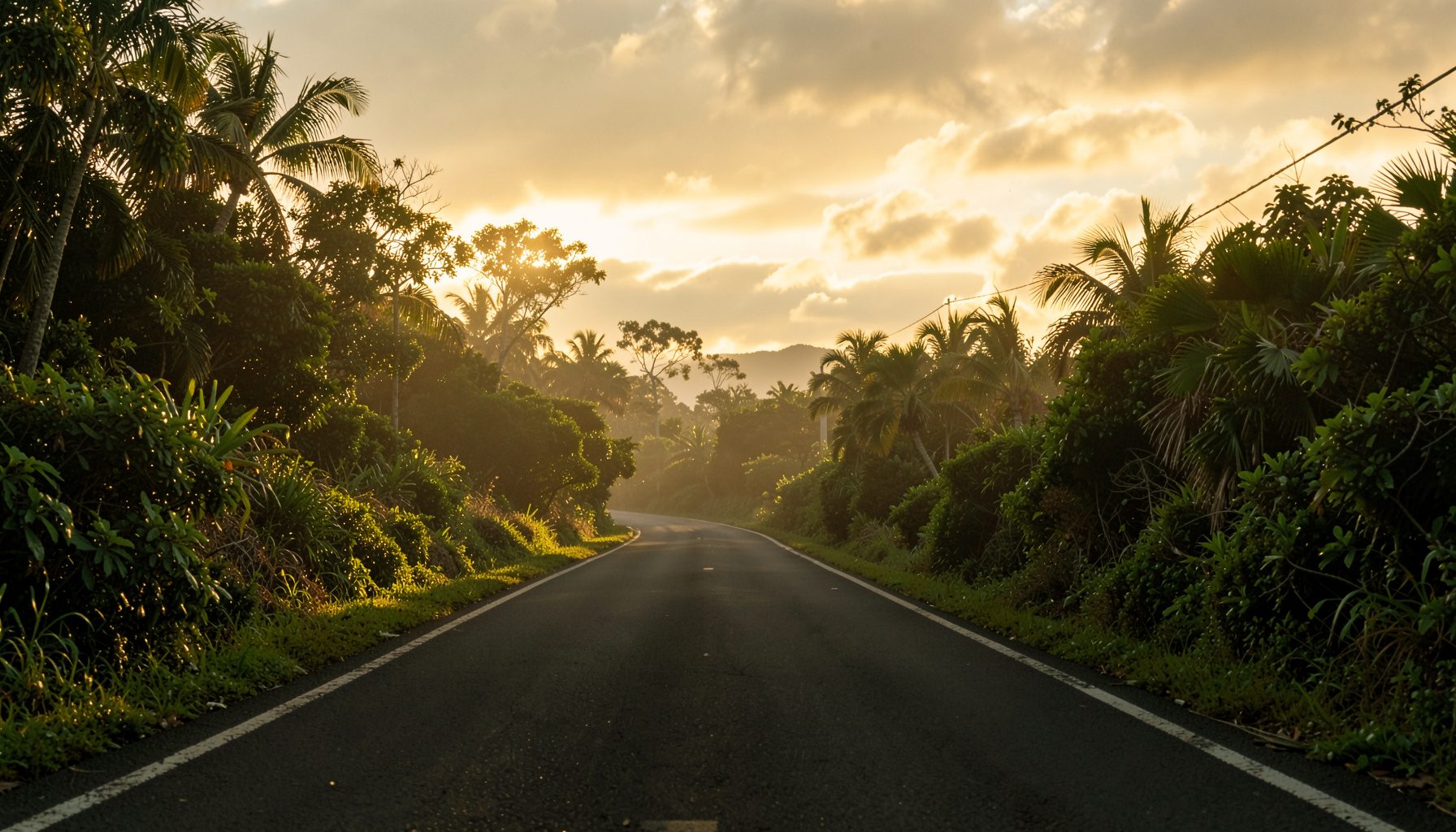 Golden hour view of a quiet Hawaiian roadside with soft amber light and tropical greenery