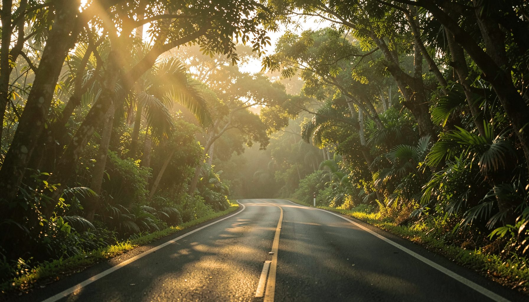 Warm photograph of a Hawaiian road at golden hour with soft sunlight filtering through tropical trees, calm and atmospheric